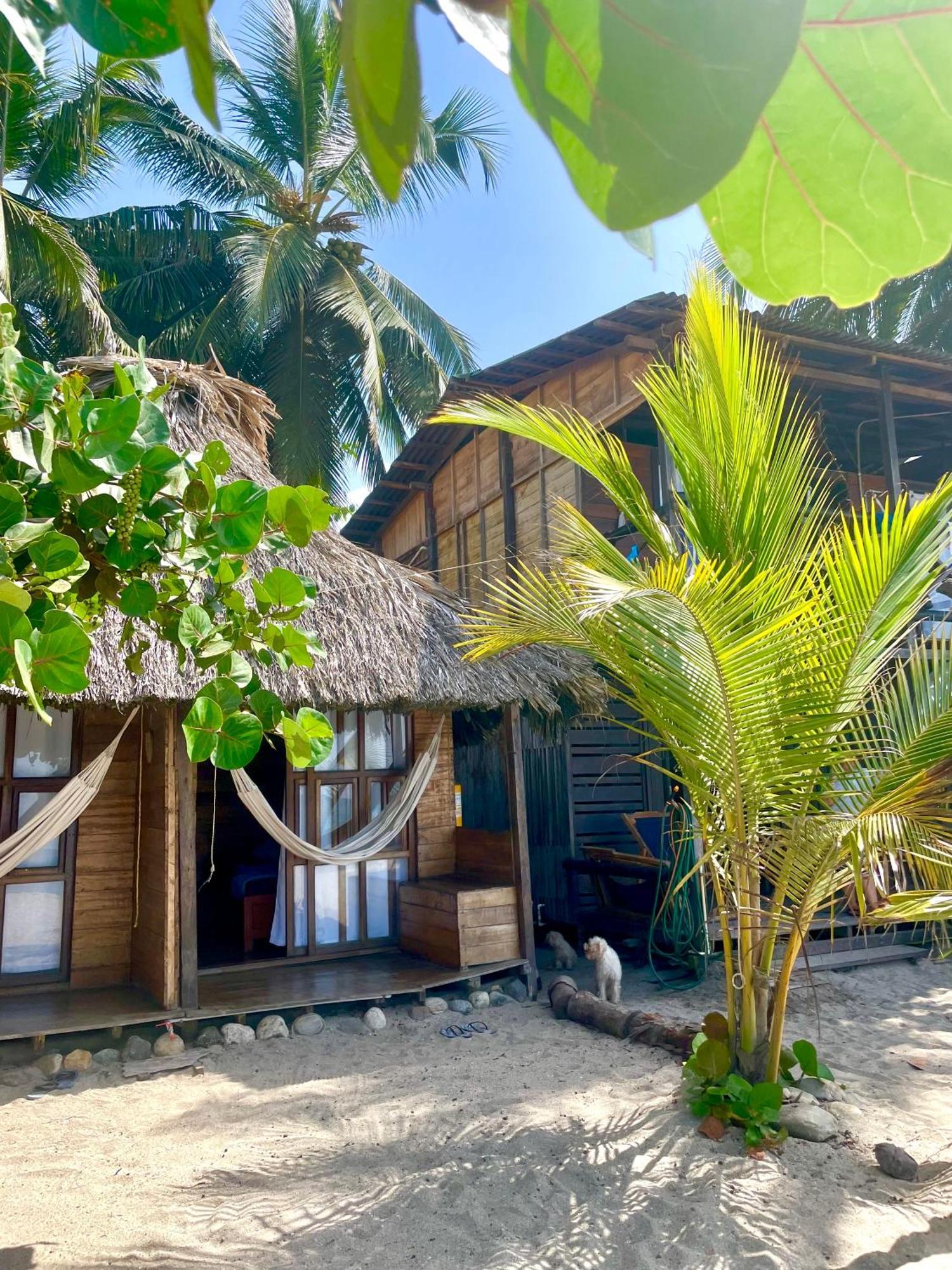 فندق Chill And Surf Mendihuaca Guachaca المظهر الخارجي الصورة