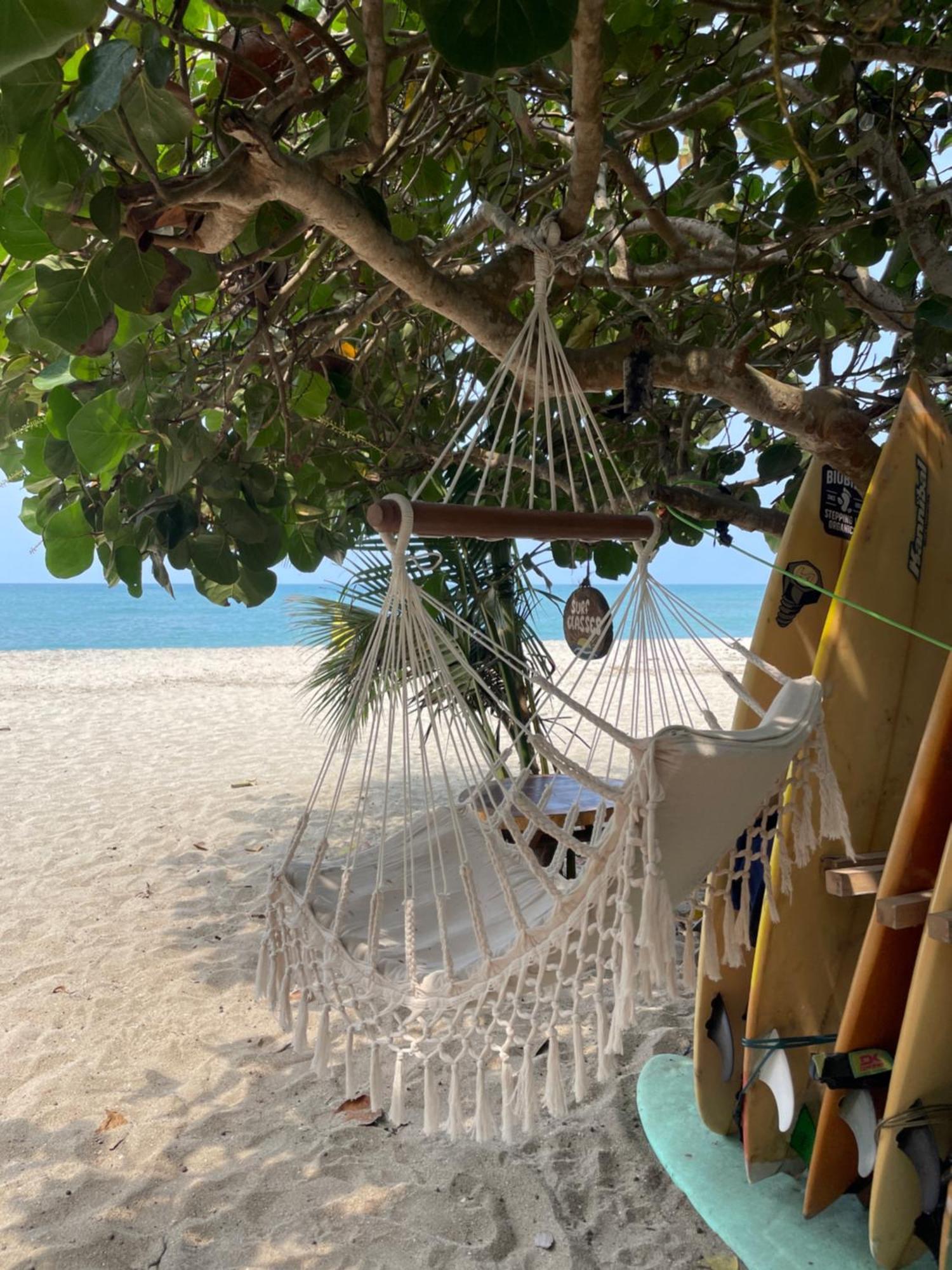 فندق Chill And Surf Mendihuaca Guachaca المظهر الخارجي الصورة