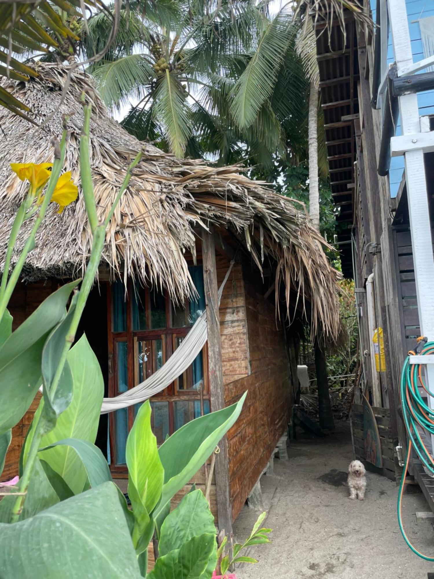 فندق Chill And Surf Mendihuaca Guachaca المظهر الخارجي الصورة